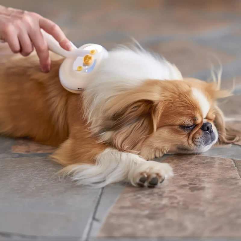 Escova Vapormix 3 em 1 - ÚLTIMAS UNIDADES