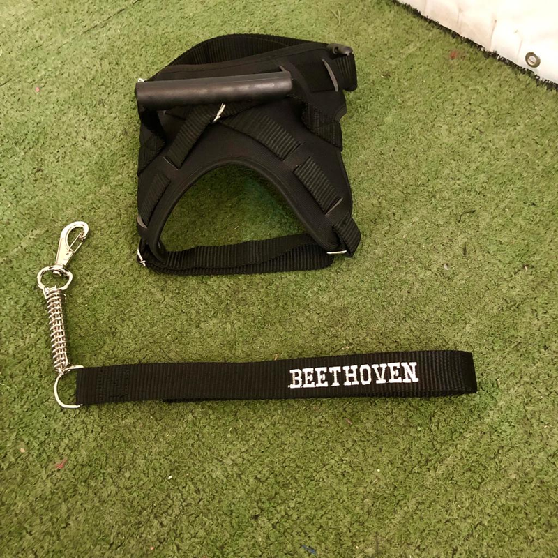 Peitoral Califórnia