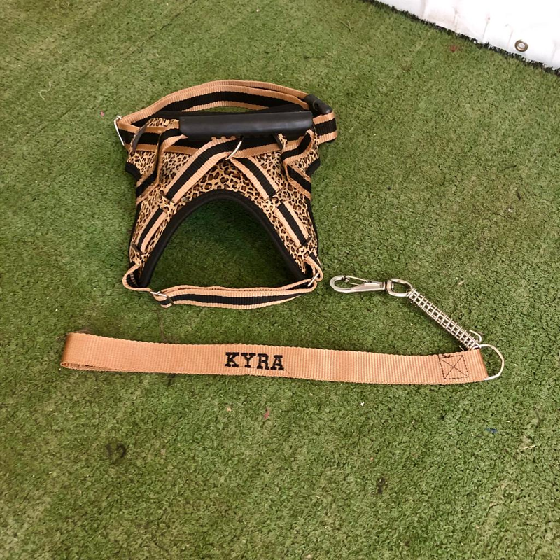 Peitoral Califórnia