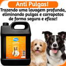 Shampoo Anti Pulgas e Carrapatos 5 Litros