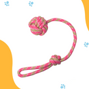 Kit 5 Brinquedo Cachorro Cordas Sortidas para Cachorro Savana Pet - Sortida
