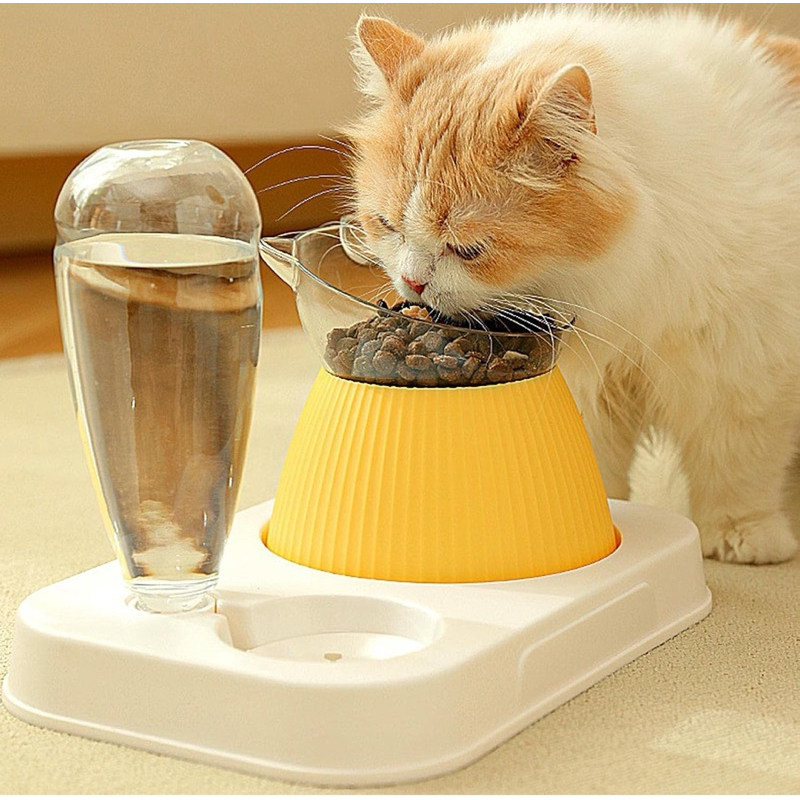 Comedouro e Bebedouro 2 em 1 Para Gatos e Cachorros Com Comedouro Elevado