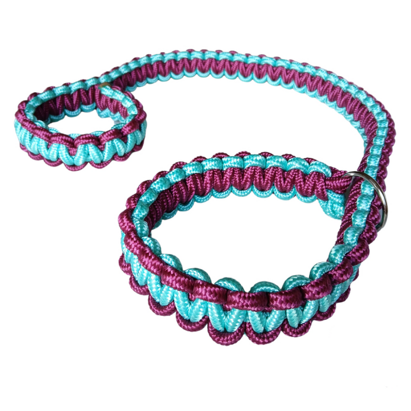 Guia Unificada para Passeio Coleira Resistente para Cachorro Labrador