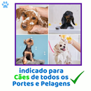 Kit Shampoo Anti Pulgas e Carrapatos + Condicionador Desembaraçador para Cachorro e Gato Genial Pet