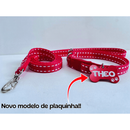 Coleira e guia para cachorro com plaquinha de identificação