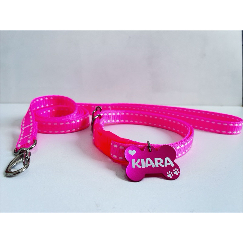 Coleira e guia para cachorro com plaquinha de identificação