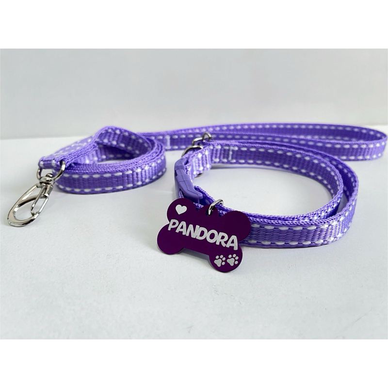 Coleira e guia para cachorro com plaquinha de identificação