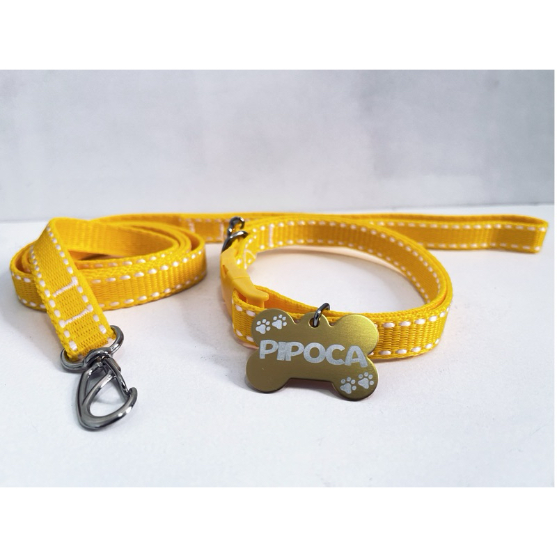 Coleira e Guia para Cachorro com Plaquinha de Identificação