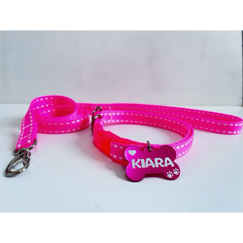 Coleira e Guia para Cachorro com Plaquinha de Identificação