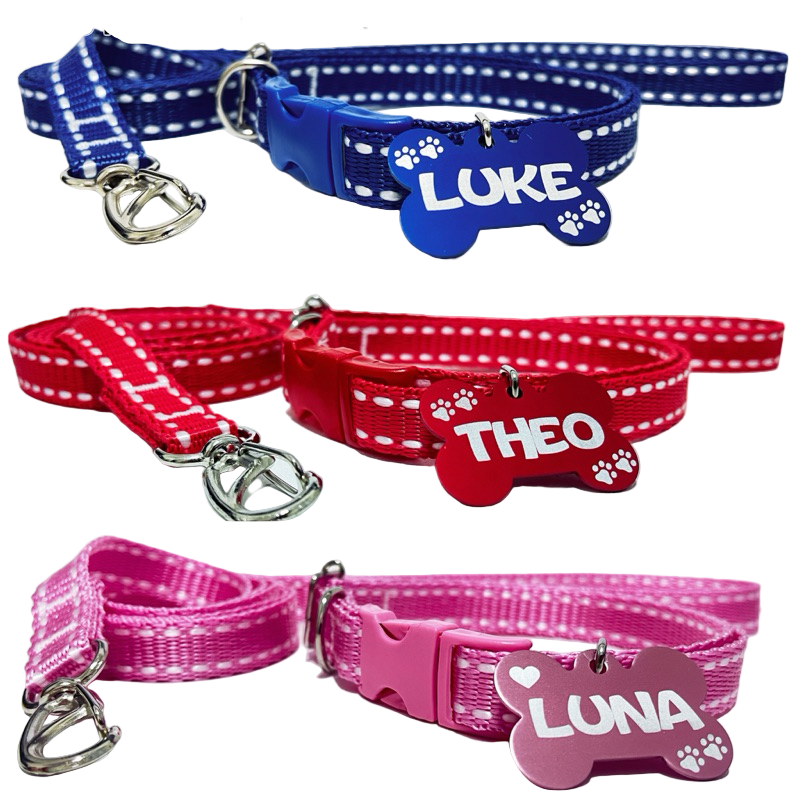 Coleira e guia para cachorro com plaquinha de identificação