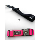 Kit Coleira Ajustável + Guia Mãos Livres 2m