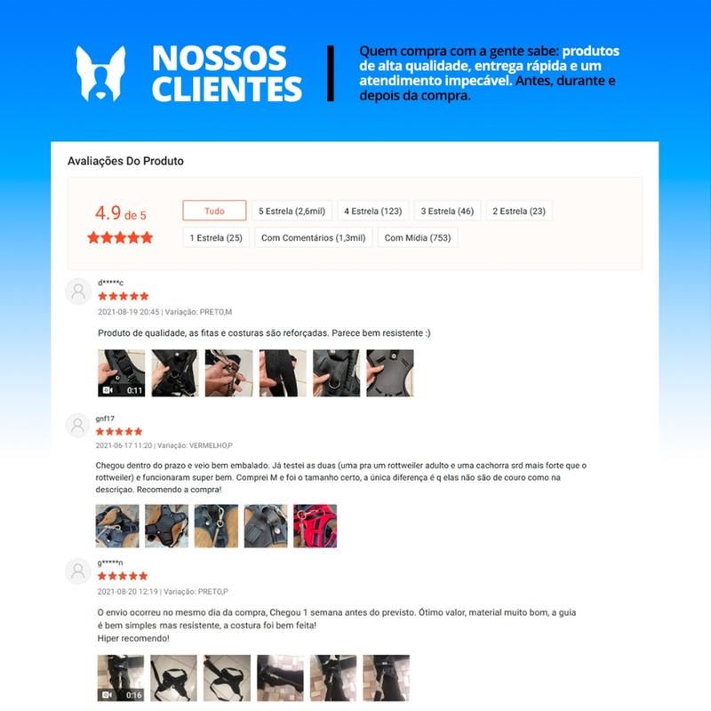 coleira e Guia para cachorro nome personalizado coleira peitoral conforto peiteira sistema amortecedor impacto regulagem