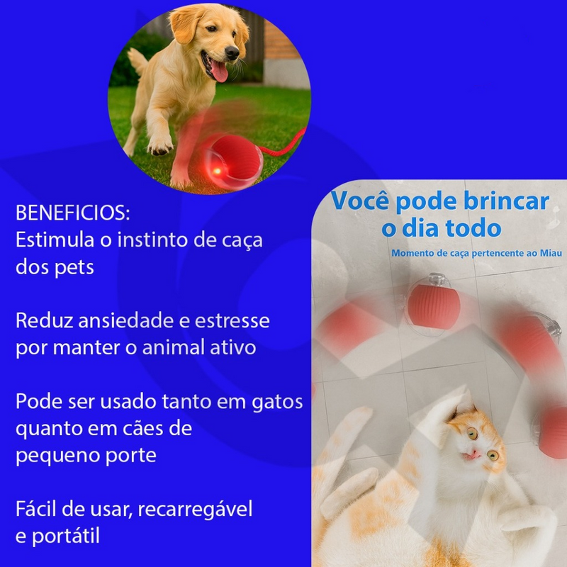 Bola Brinquedo Bolinha Para Gato Cachorro Auto Magico Elétrico Pets Usb Recarregável