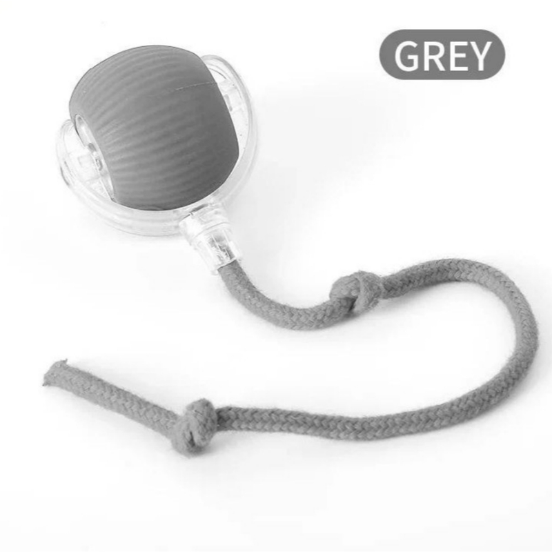 Bola Inteligente Interativa para Gatos