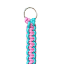 Guia Unificada para Cães de Médio e Grande Porte