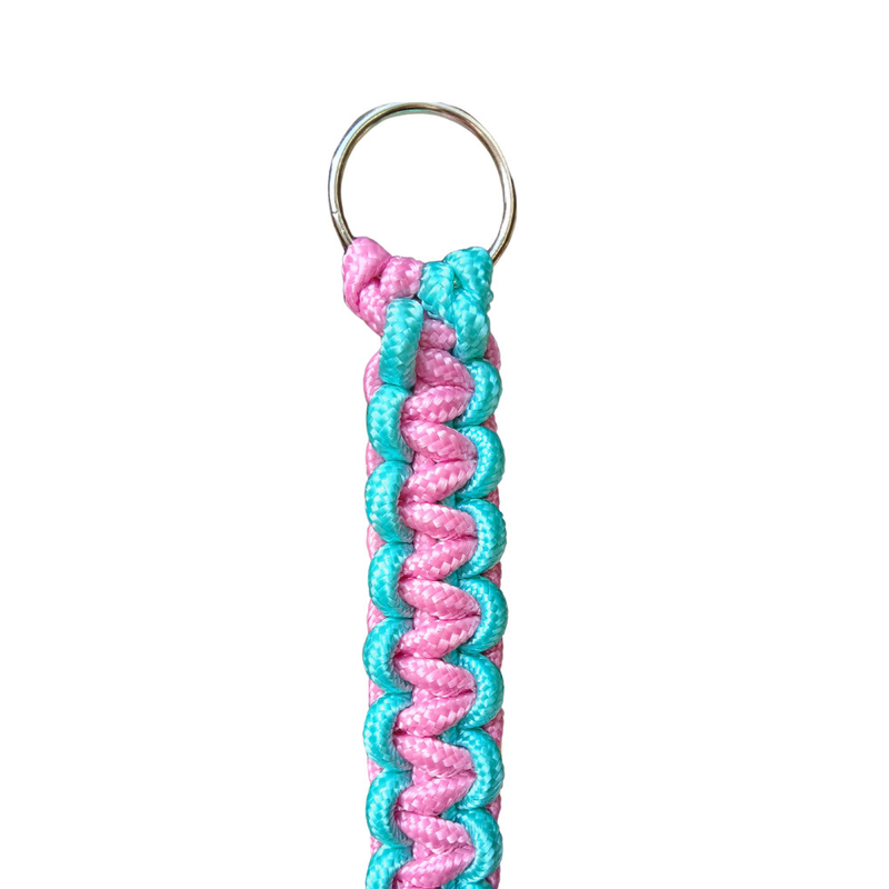 Guia Unificada para Cães de Médio e Grande Porte