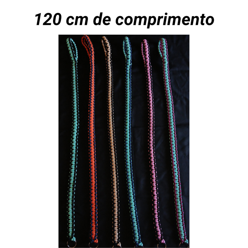 Guia Unificada para Passeio Coleira Resistente para Cachorro Labrador