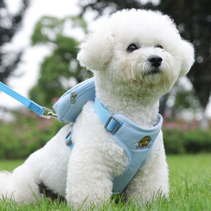 Peitoral Coleira Com Guia e Bolsa Removível Para Cachorro Pet Cães Gatos Pequeno Médio De Viagem